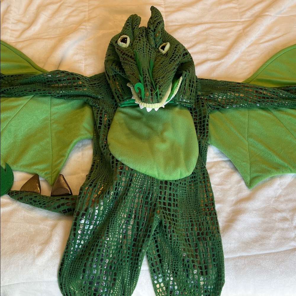 Pottery Barn Kids Dragon Costume